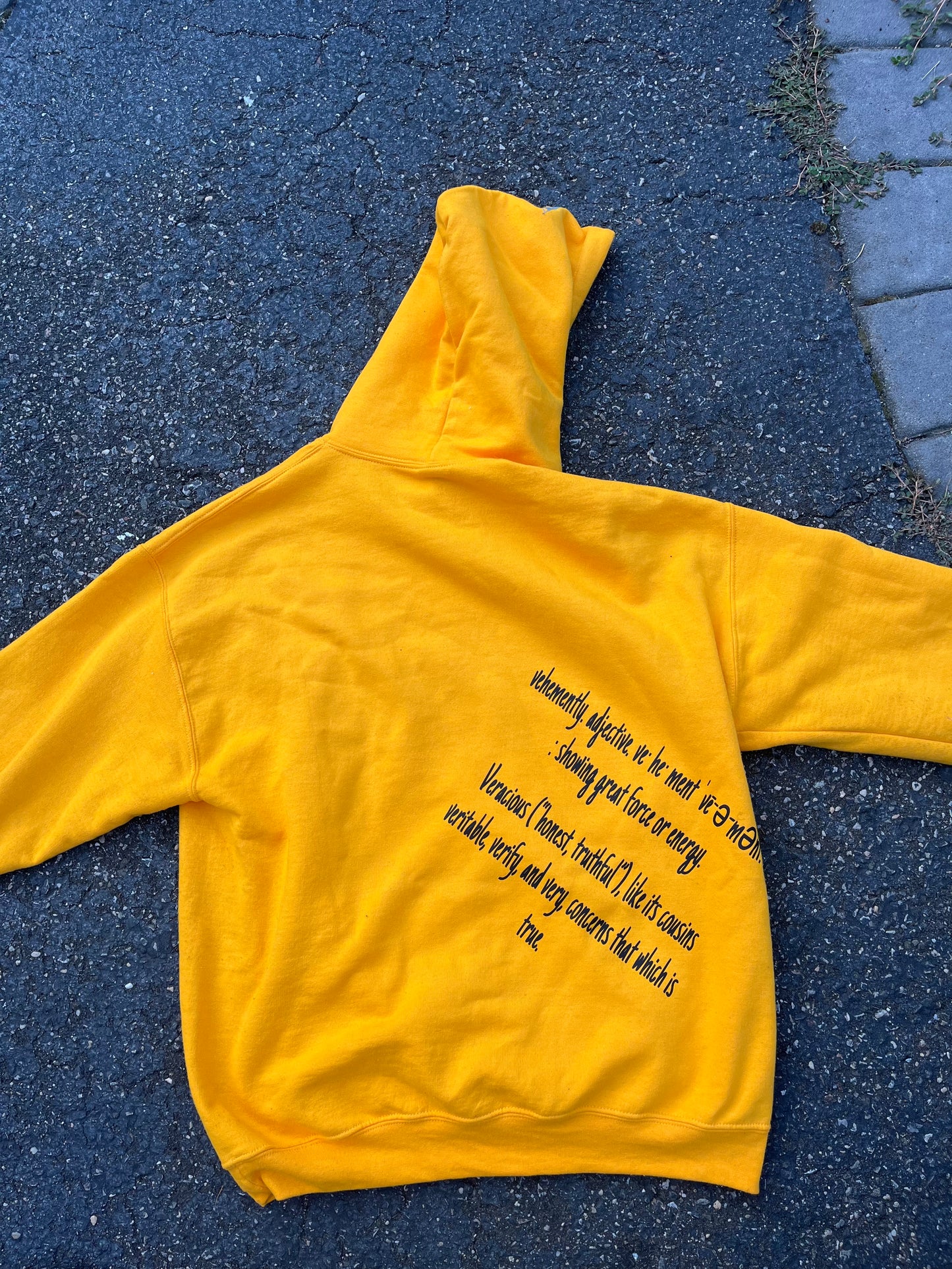 "Passionate Truth" Hoodie