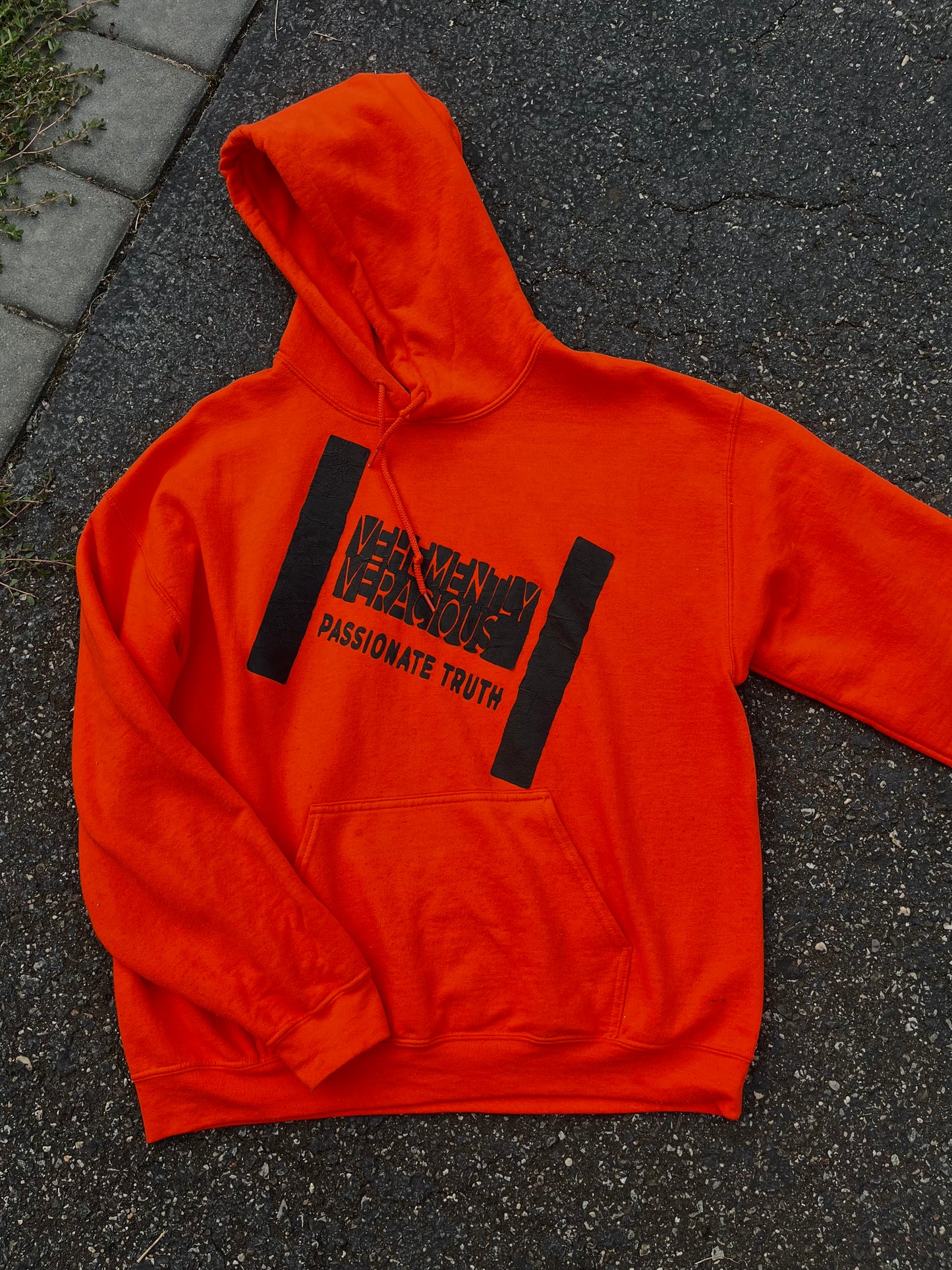 "Passionate Truth" Hoodie